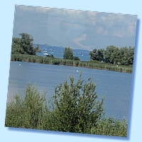 Bregenz_330.JPG
