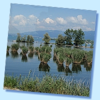 Bregenz_334.JPG