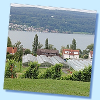 Bregenz_414.JPG