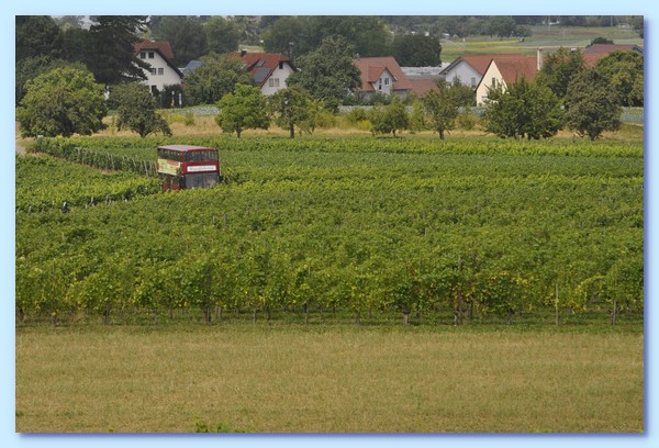 PICT 103-10.8.15.JPG