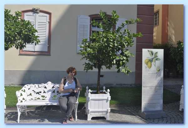 PICT 108-10.8.15.JPG