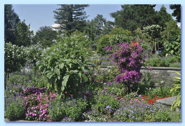 PICT 114-10.8.15.JPG