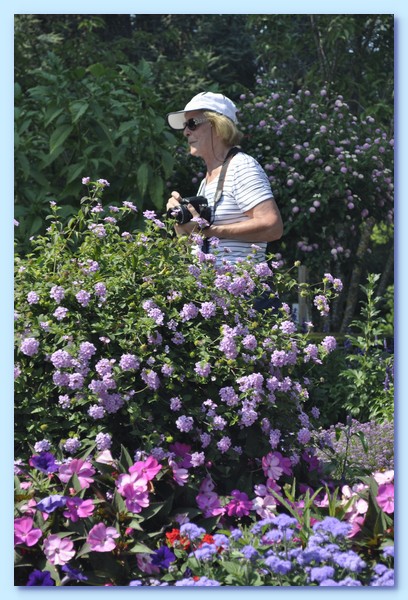 PICT 119-10.8.15.JPG