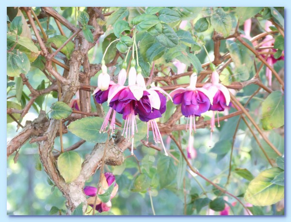 PICT 124-10.8.15.JPG