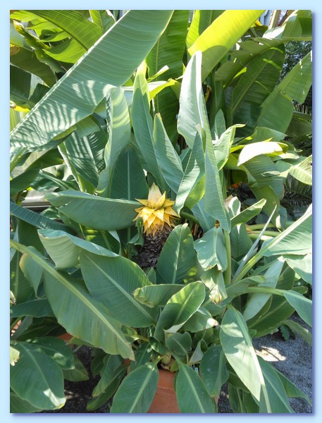 PICT 126-10.8.15.JPG