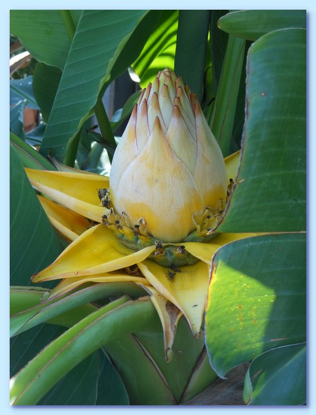 PICT 127-10.8.15.JPG