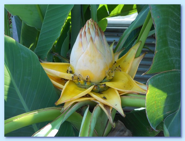 PICT 128-10.8.15.JPG