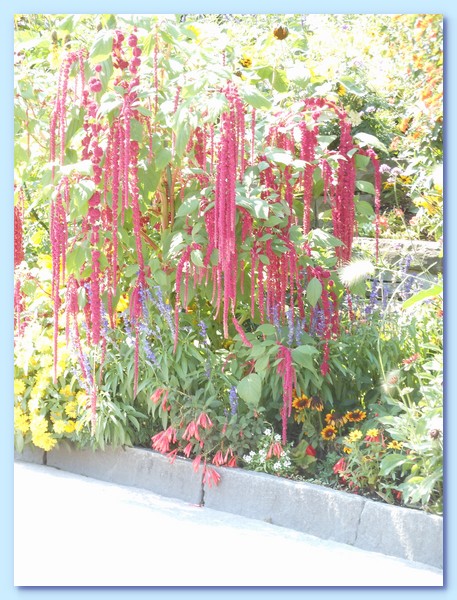 PICT 131-10.8.15.JPG