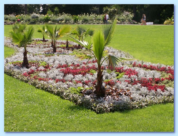 PICT 133-10.8.15.JPG