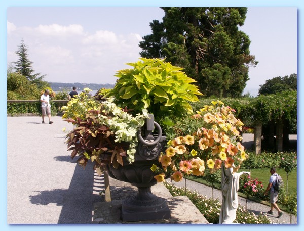 PICT 134-10.8.15.JPG