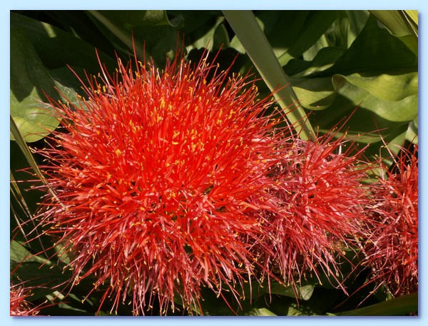 PICT 135-10.8.15.JPG