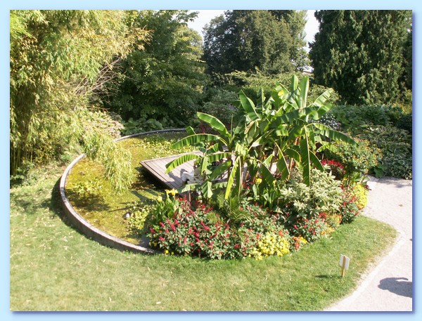 PICT 136-10.8.15.JPG