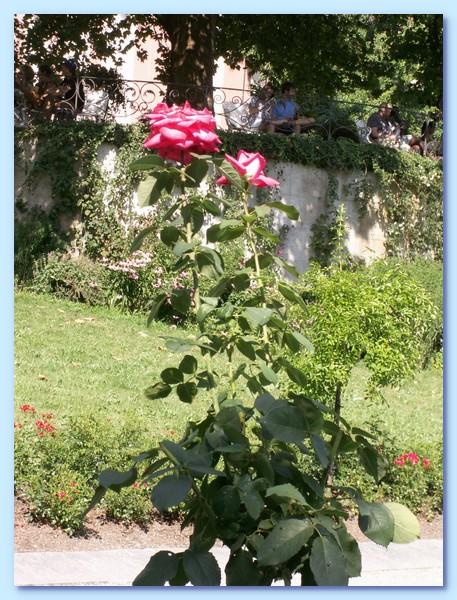 PICT 137-10.8.15.JPG