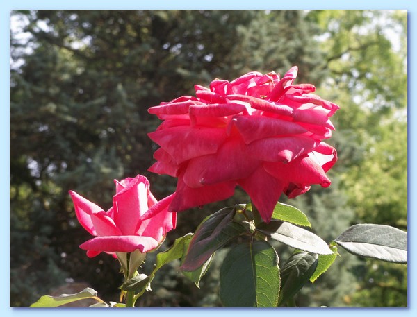 PICT 138-10.8.15.JPG