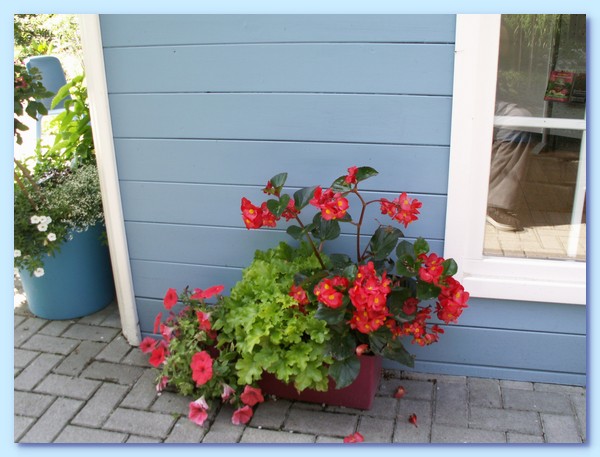 PICT 145-10.8.15.JPG