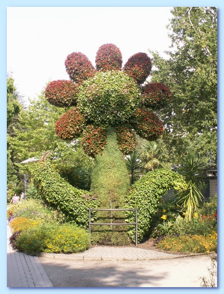 PICT 146-10.8.15.JPG