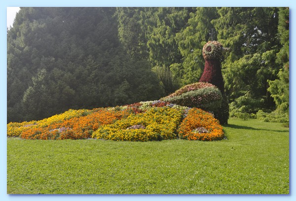 PICT 148-10.8.15.JPG