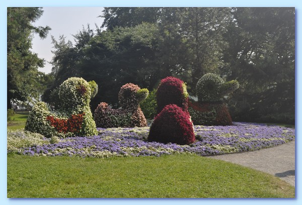 PICT 149-10.8.15.JPG