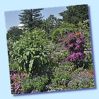 PICT 114-10.8.15.JPG