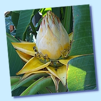 PICT 127-10.8.15.JPG