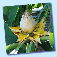 PICT 128-10.8.15.JPG