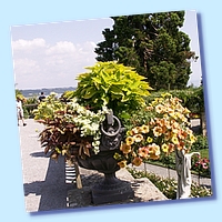 PICT 134-10.8.15.JPG