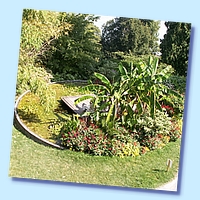 PICT 136-10.8.15.JPG