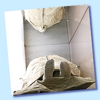 PICT 183-11.8.15.JPG