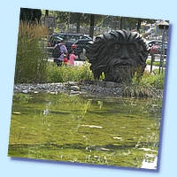 PICT 209-11.8.15.JPG