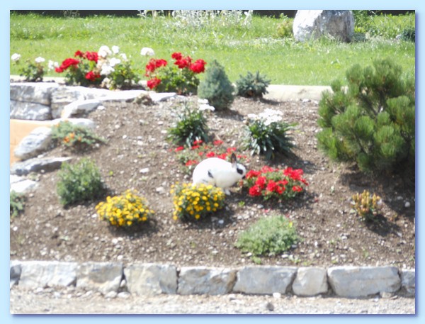 PICT 229-12.8.15.JPG