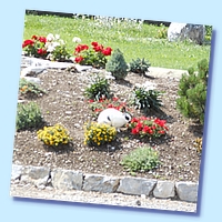 PICT 229-12.8.15.JPG