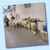 Falk 234 8.4.2017.jpg