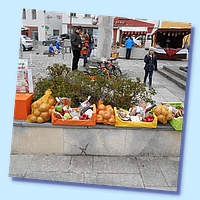 Falk 268 8.4.2017.jpg