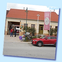 Falk 273 8.4.2017.jpg