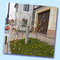 Falk 294 8.4.2017.jpg